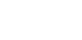 Cerebras